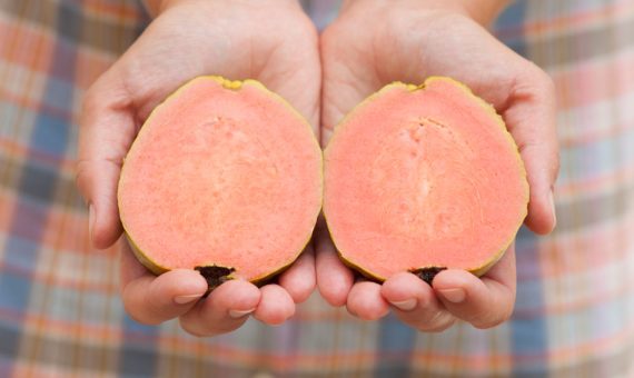 PROCESO DE LA GUAYABA